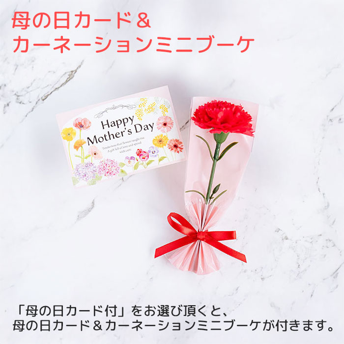 母の日カード＆カーネーションミニブーケ付き